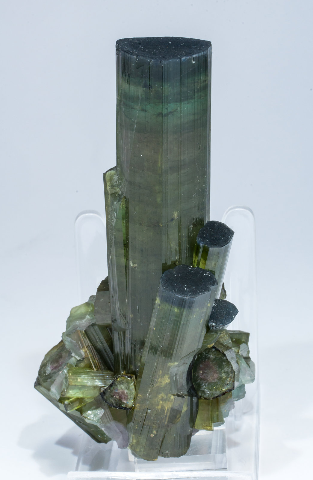 specimens/s_imagesAM5/Elbaite-EF46AM5s2.jpg