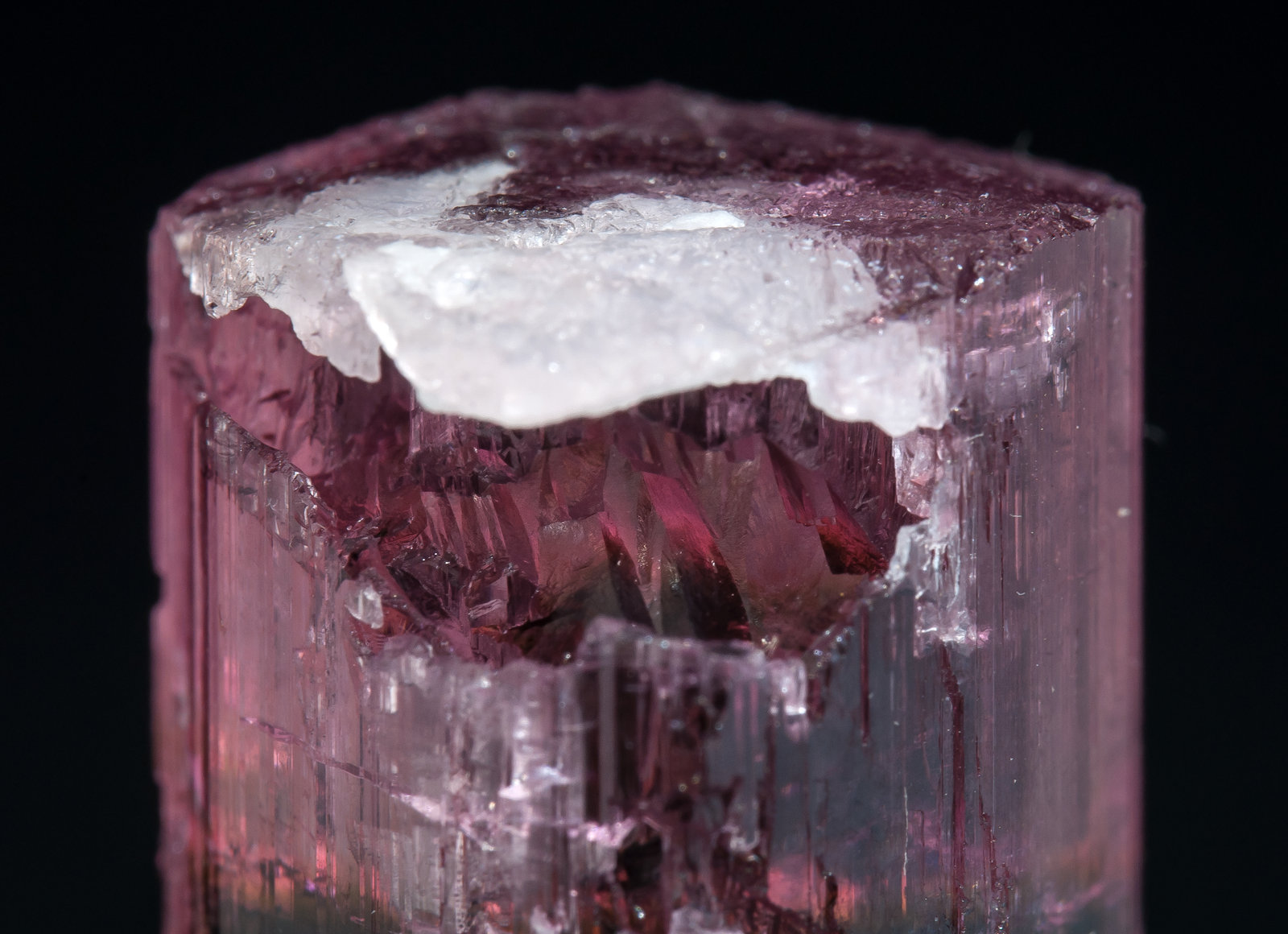 specimens/s_imagesAM5/Elbaite-TR1AM5d.jpg