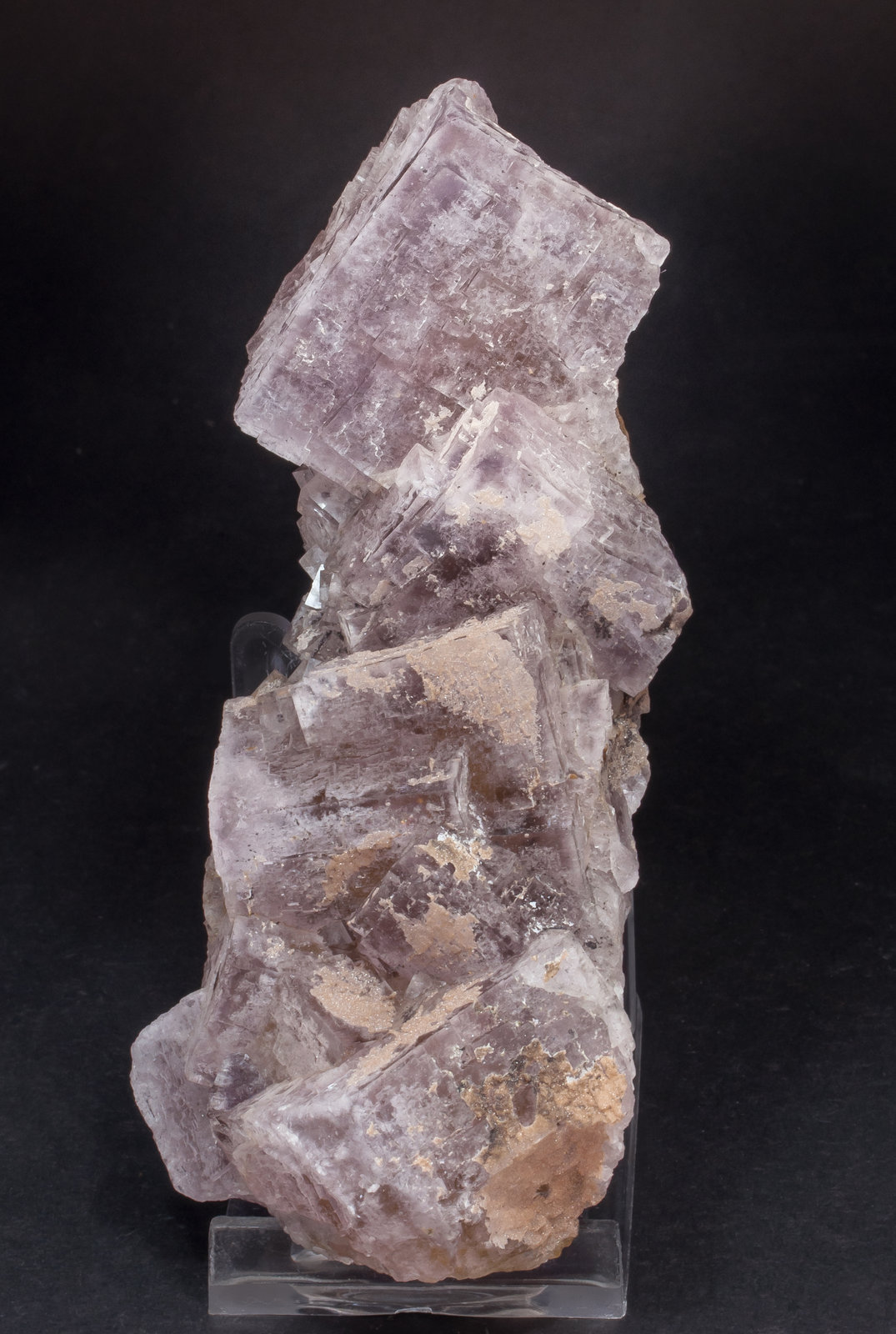 specimens/s_imagesAM5/Fluorite-EF51AM5f1.jpg