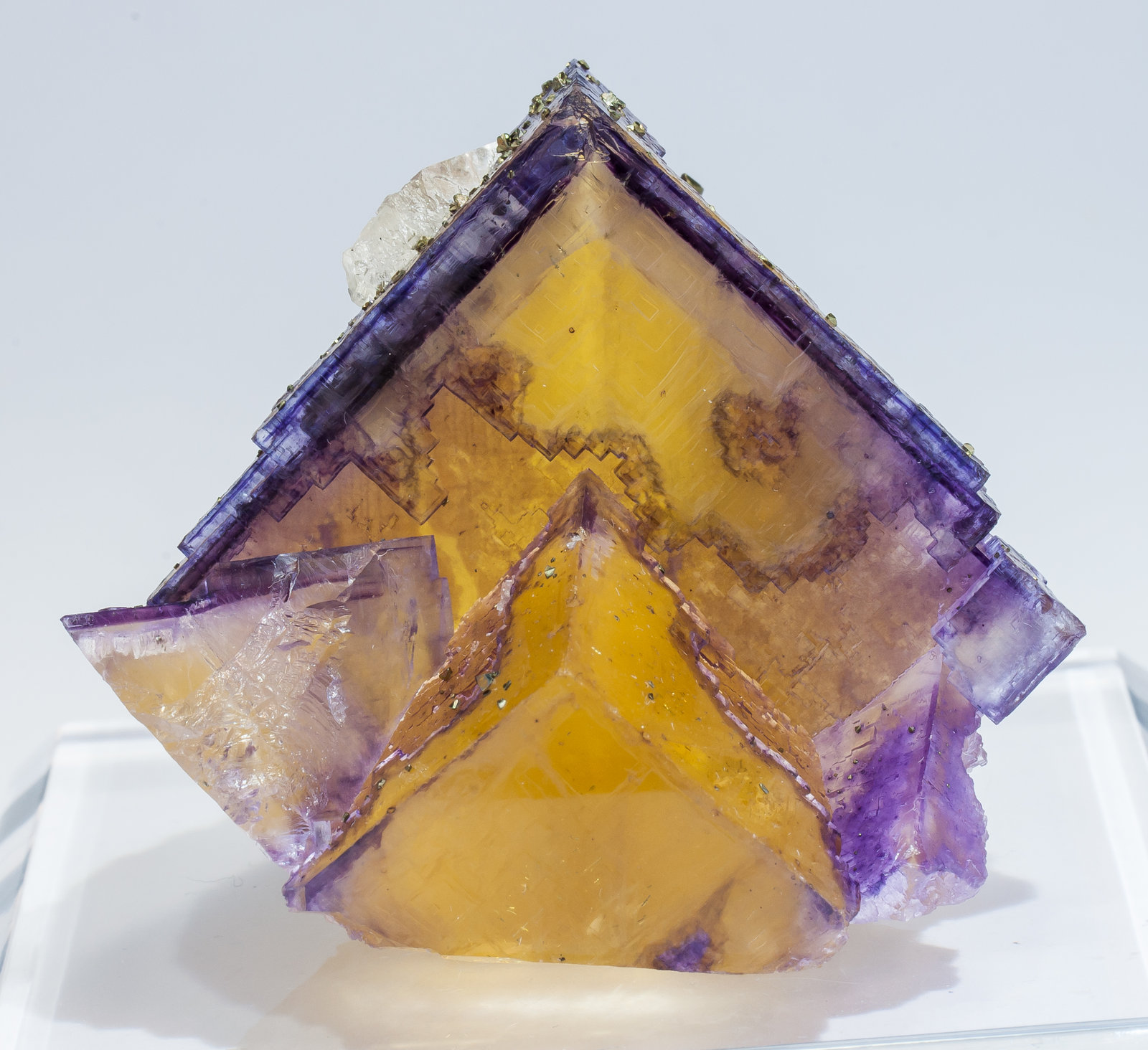 specimens/s_imagesAM5/Fluorite-EV27AM5s.jpg