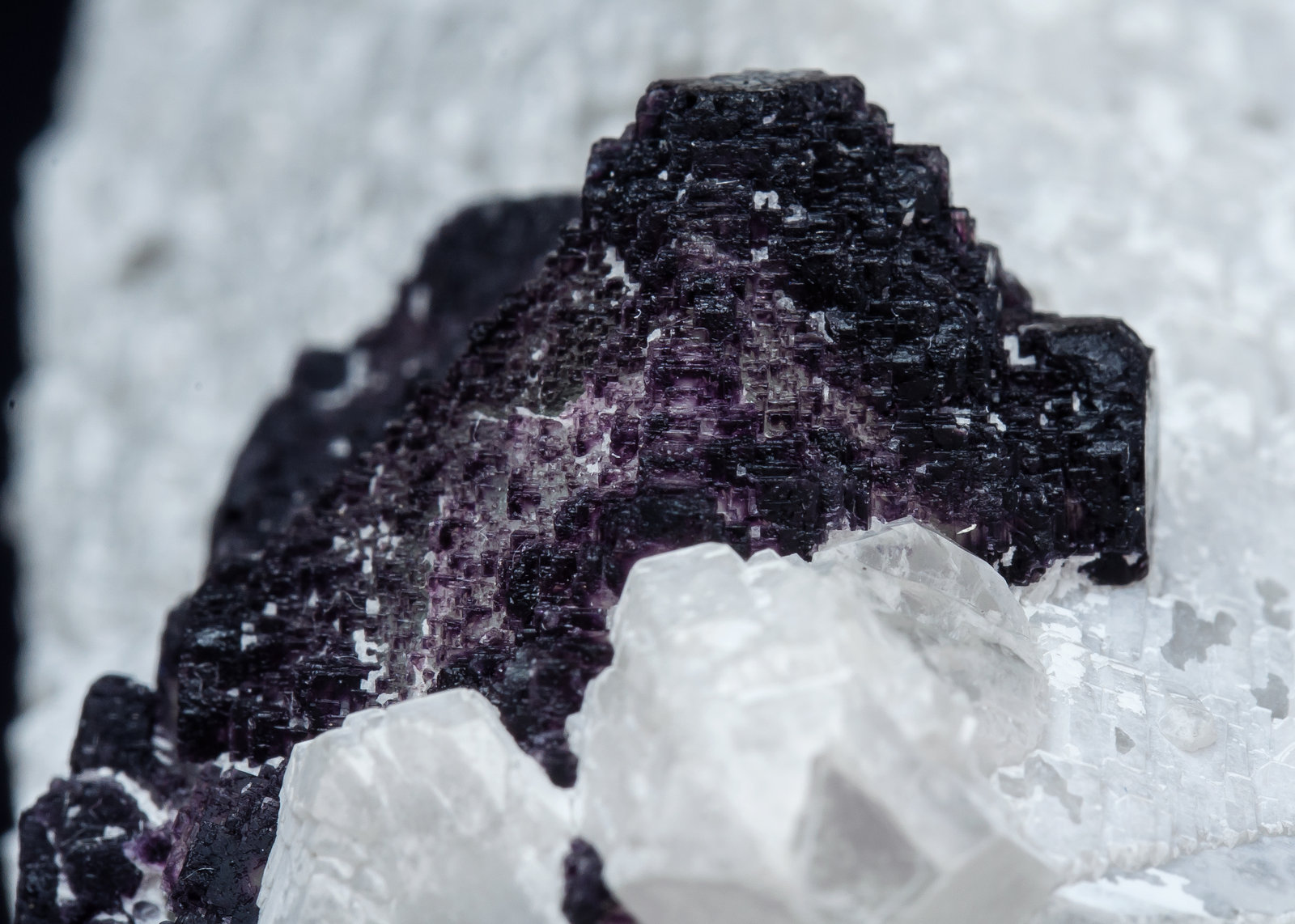 specimens/s_imagesAM5/Fluorite-FR16AM5d.jpg