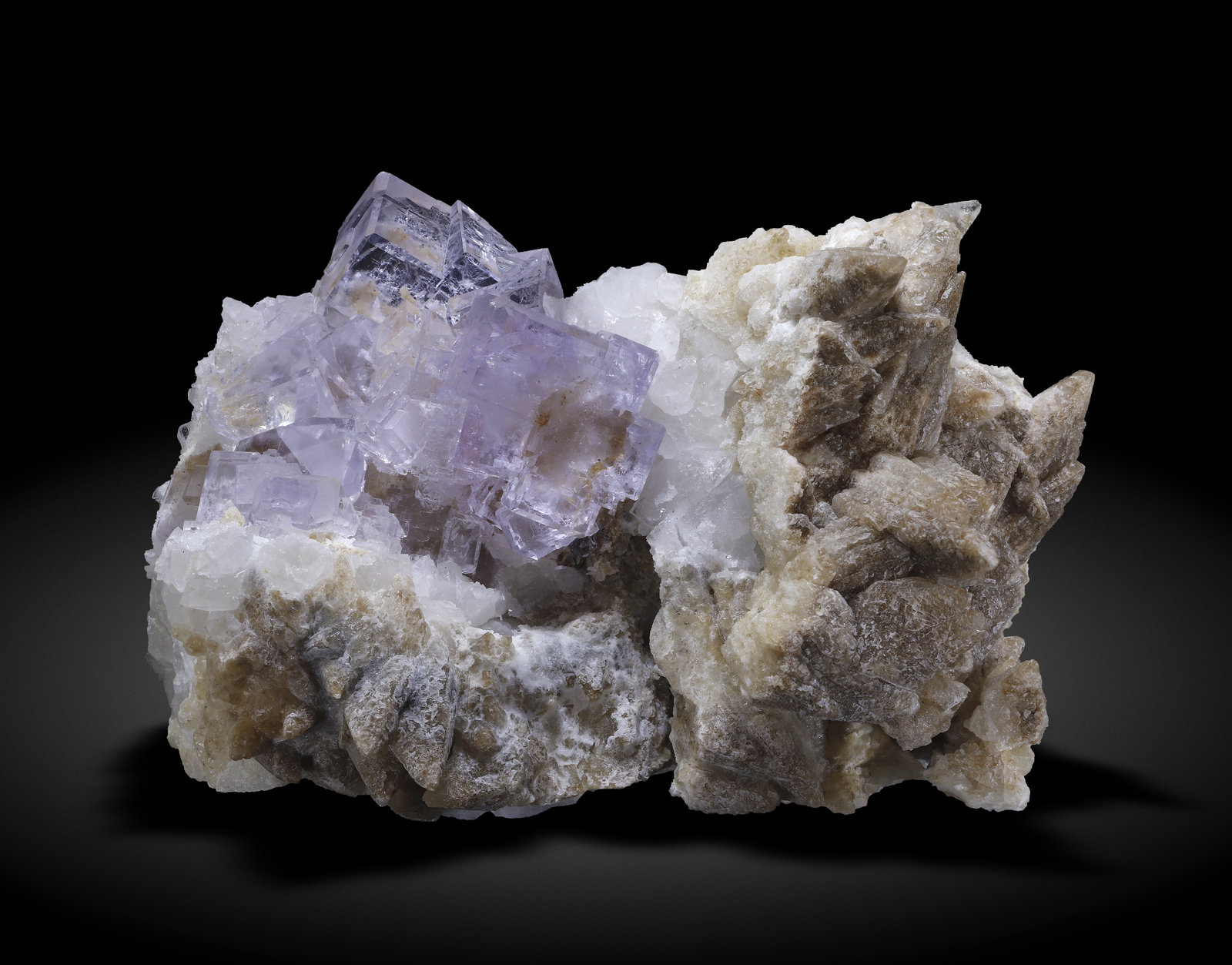 specimens/s_imagesAM5/Fluorite-NA89AM5_2279_f.jpg