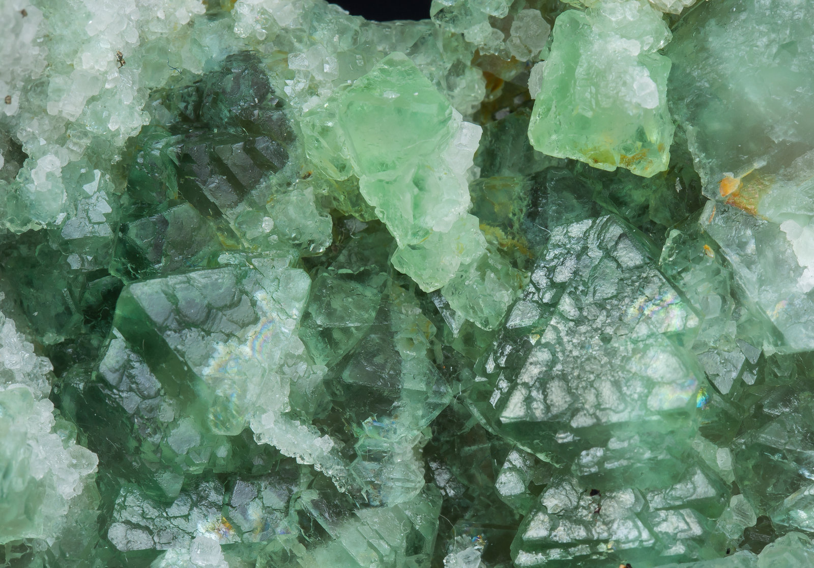 specimens/s_imagesAM5/Fluorite-ND16AM5d.jpg