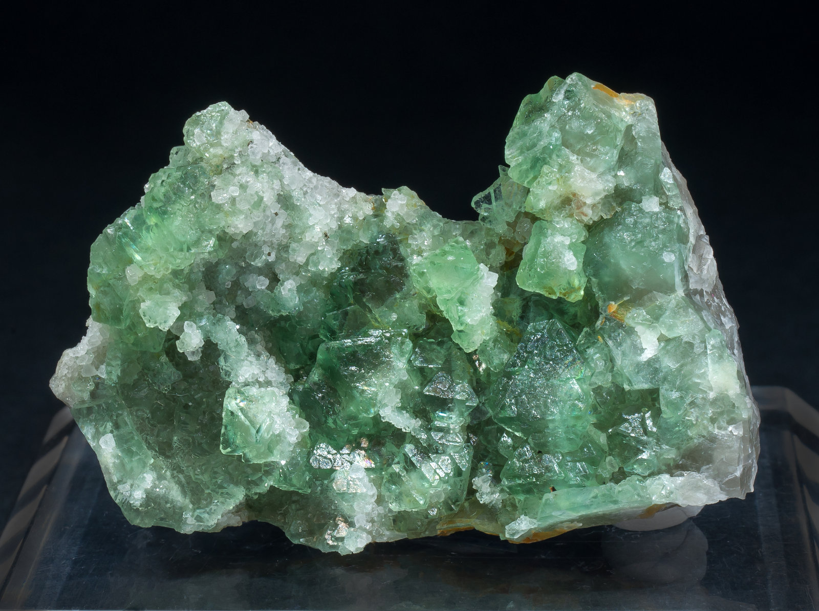 specimens/s_imagesAM5/Fluorite-ND16AM5f.jpg