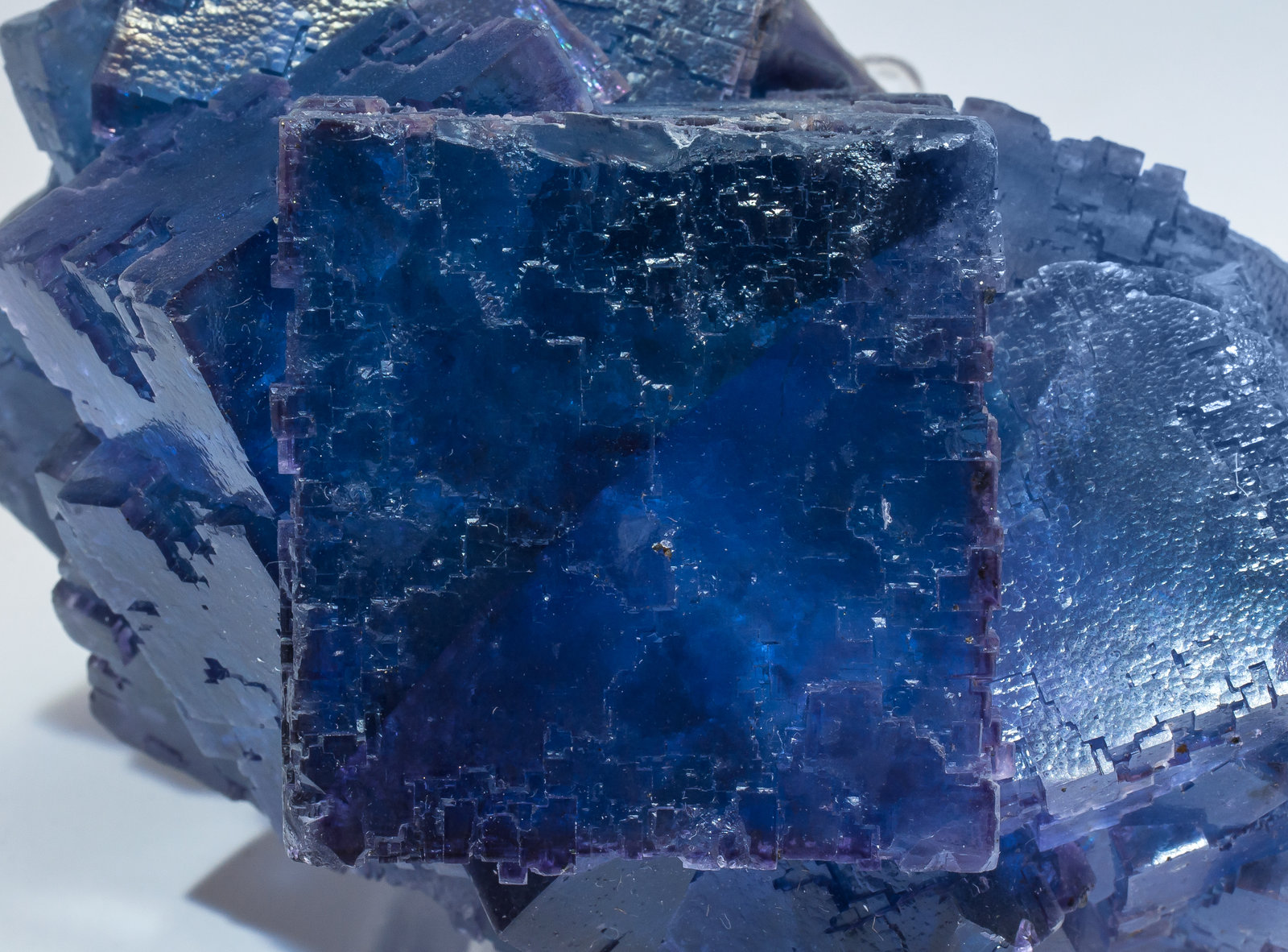 specimens/s_imagesAM5/Fluorite-NF38AM5d.jpg