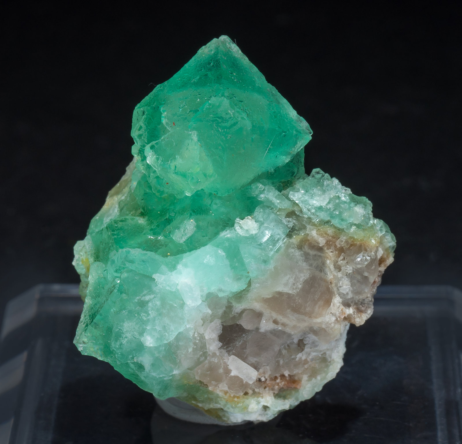 specimens/s_imagesAM5/Fluorite-NV56AM5f.jpg