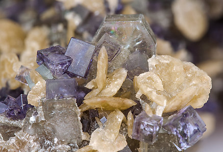 Fluorite with Siderite, Fluorapatite, Muscovite and Arsenopyrite. 