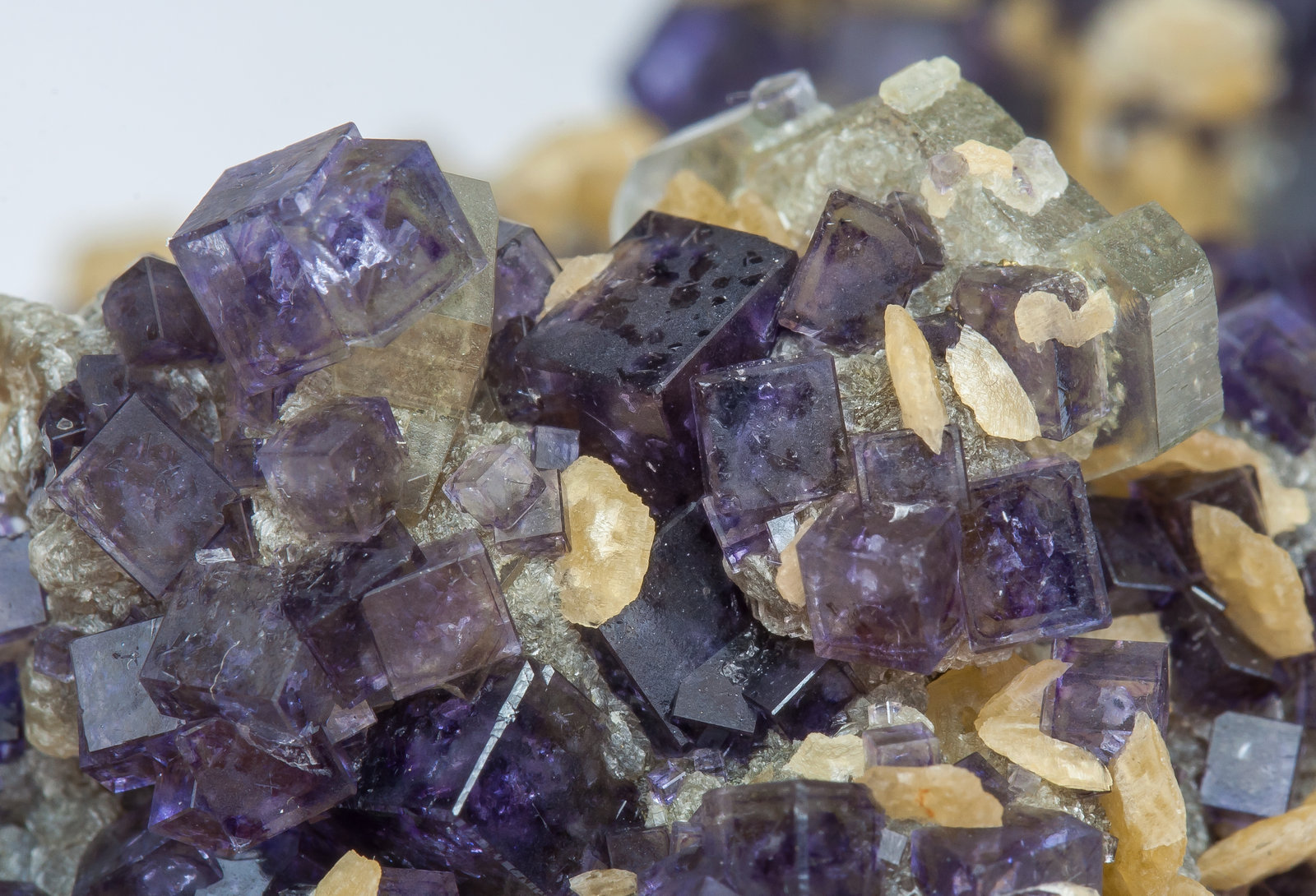 specimens/s_imagesAM5/Fluorite-TK47AM5d2.jpg