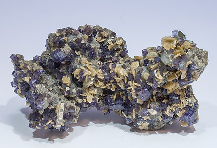 Fluorite with Siderite, Fluorapatite, Muscovite and Arsenopyrite. 