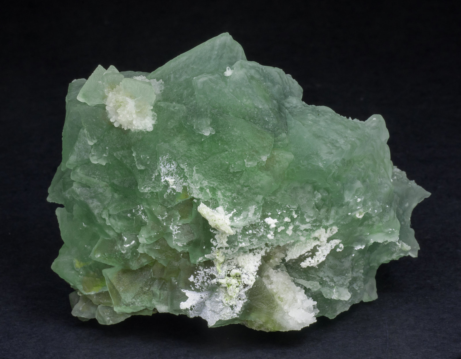 specimens/s_imagesAM5/Fluorite-TR89AM5r.jpg