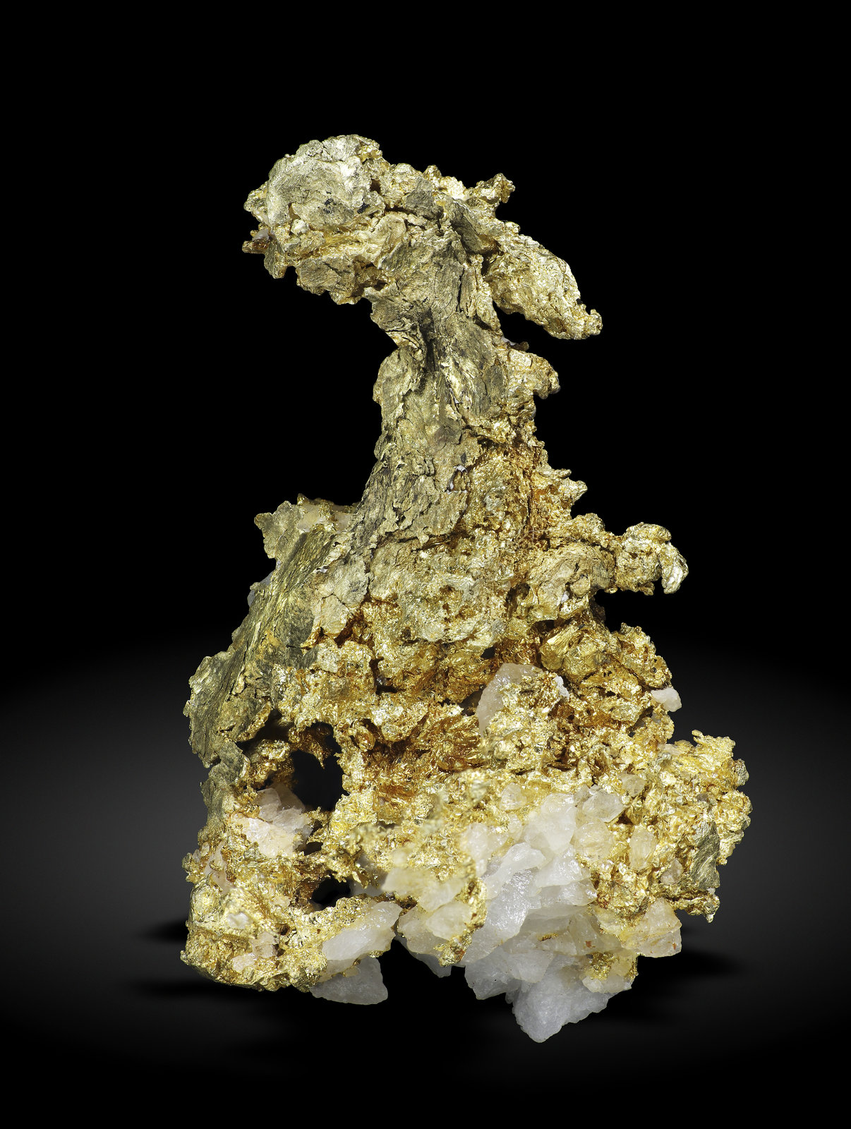 specimens/s_imagesAM5/Gold-MA37AM5_3309_r.jpg