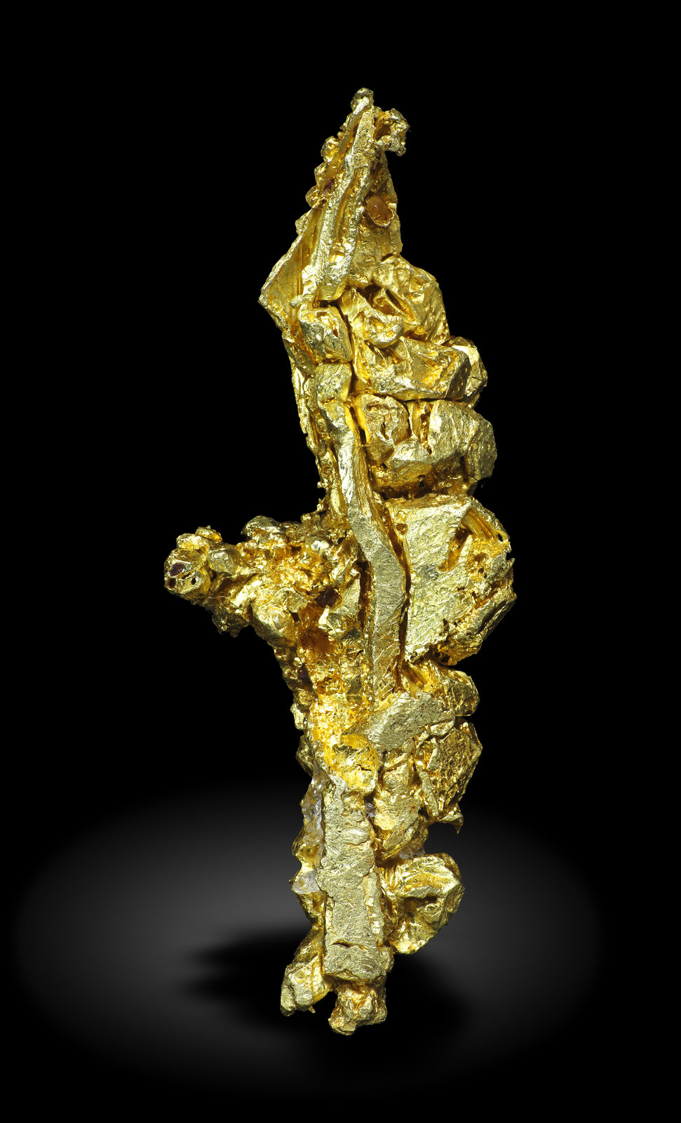 specimens/s_imagesAM5/Gold-MB93AM5_3079_r.jpg