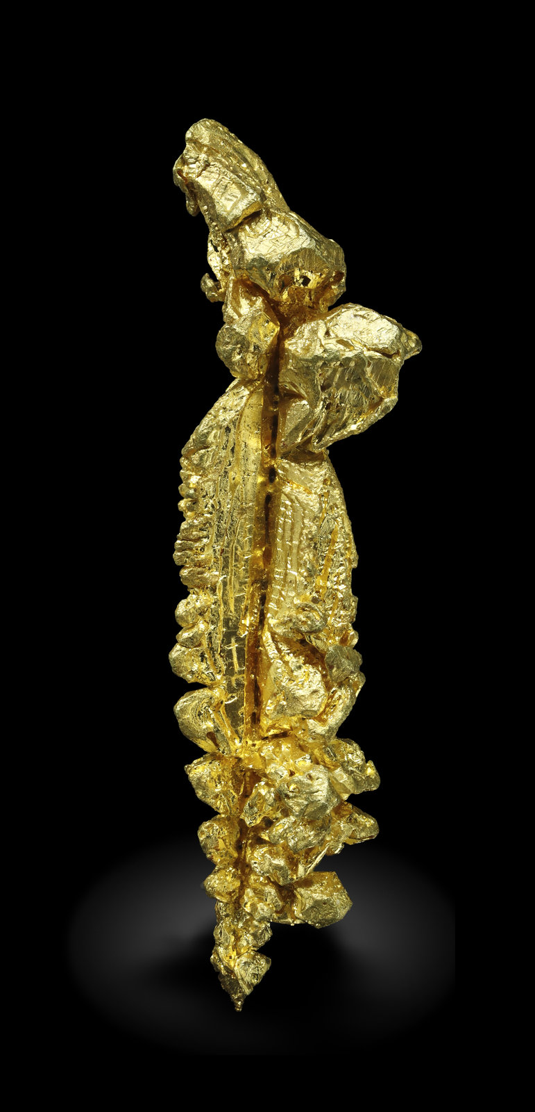 specimens/s_imagesAM5/Gold-MD53AM5_1061_f.jpg