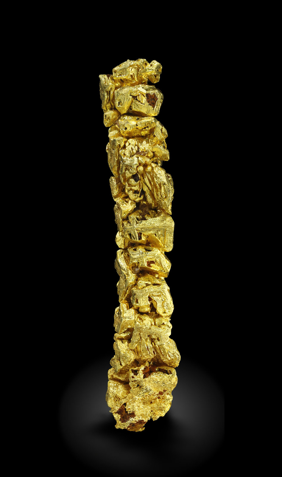 specimens/s_imagesAM5/Gold-MJ68AM5_0536_s1.jpg