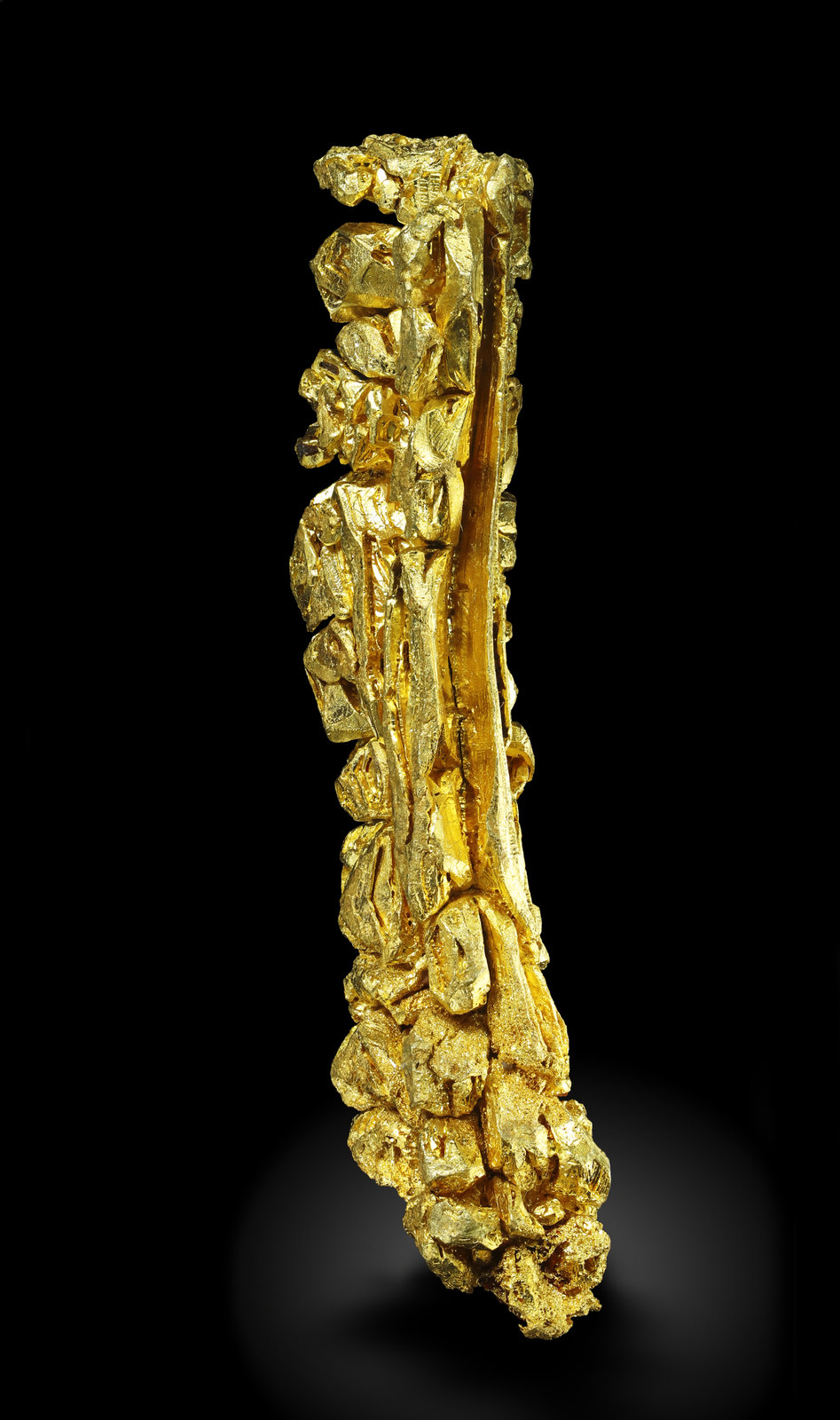 specimens/s_imagesAM5/Gold-MJ68AM5_0587_r.jpg
