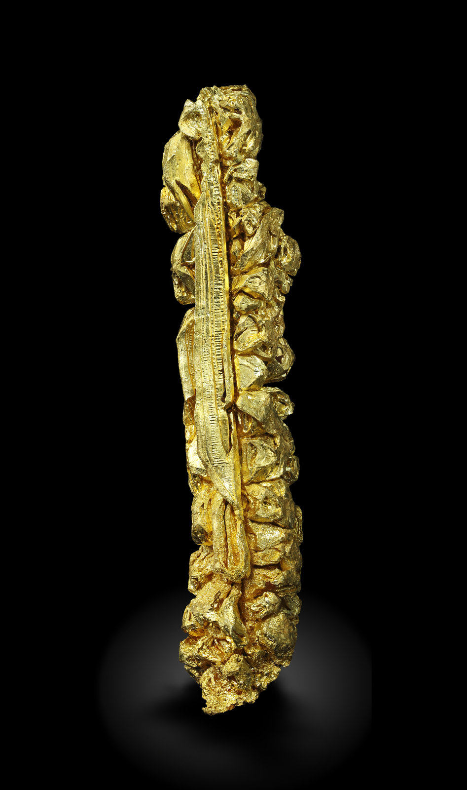 specimens/s_imagesAM5/Gold-MJ68AM5_0605_s2.jpg