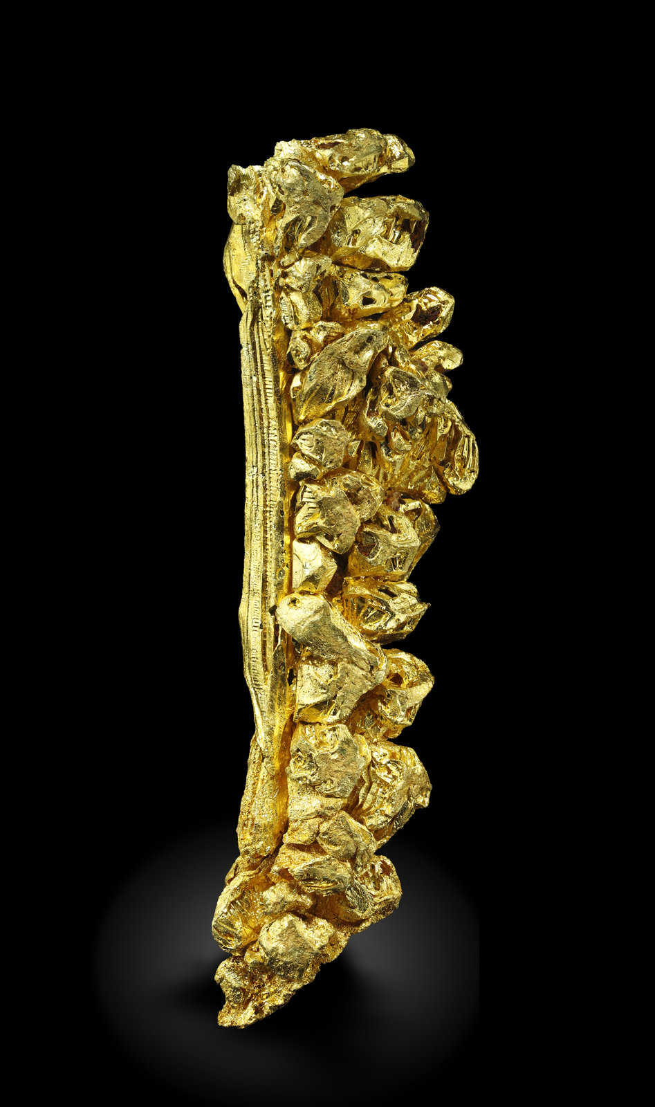 specimens/s_imagesAM5/Gold-MJ68AM5_0620_f.jpg
