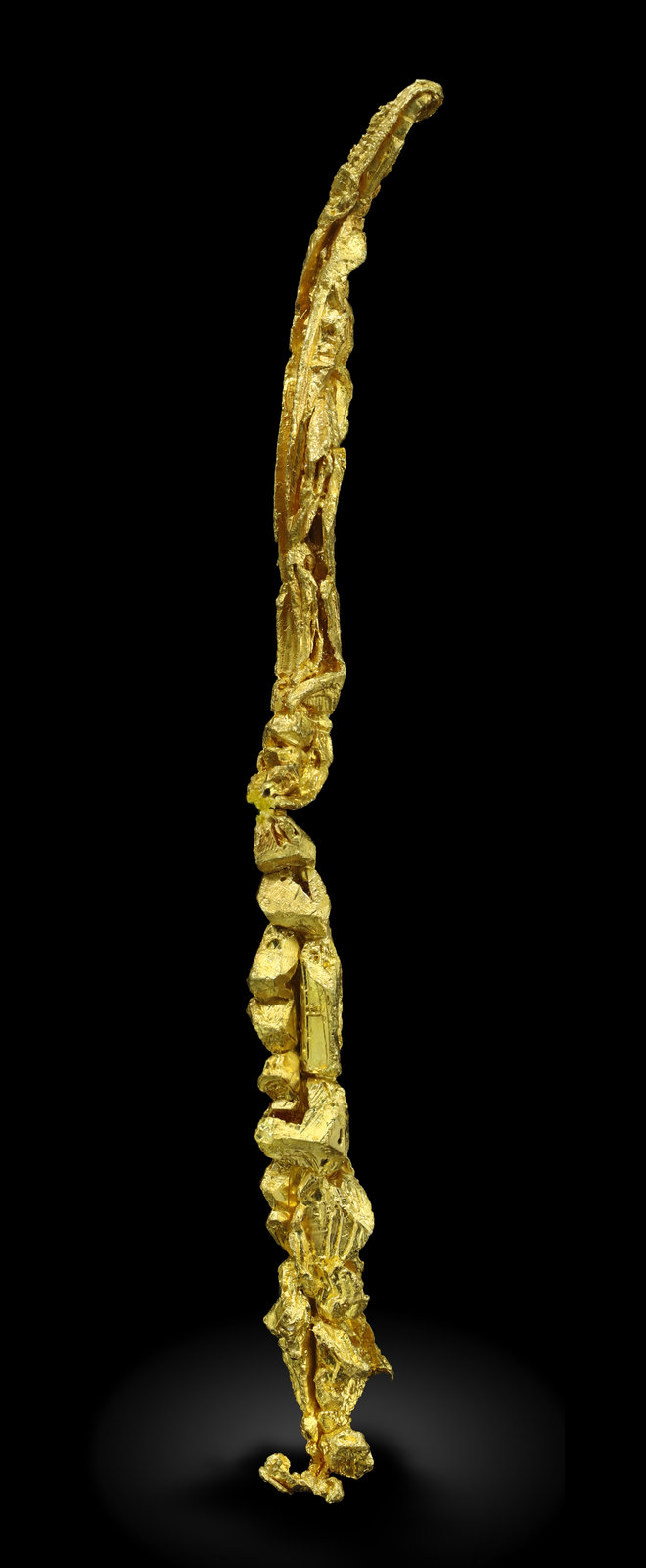 specimens/s_imagesAM5/Gold-ML12AM5_709_f.jpg