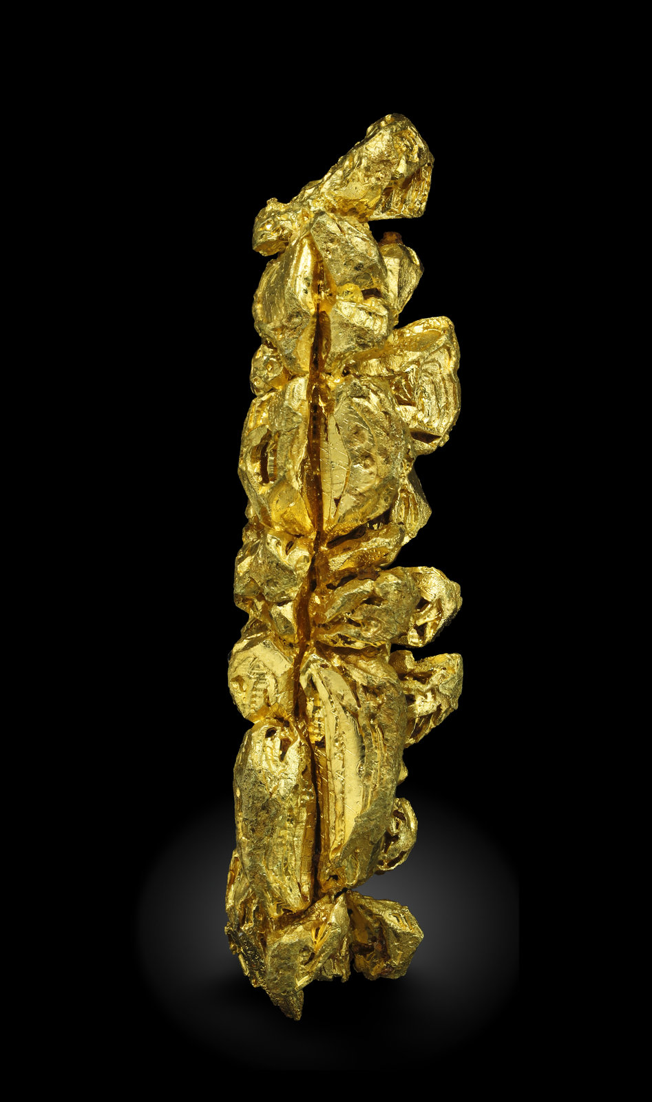 specimens/s_imagesAM5/Gold-MN96AM5_0873_r.jpg