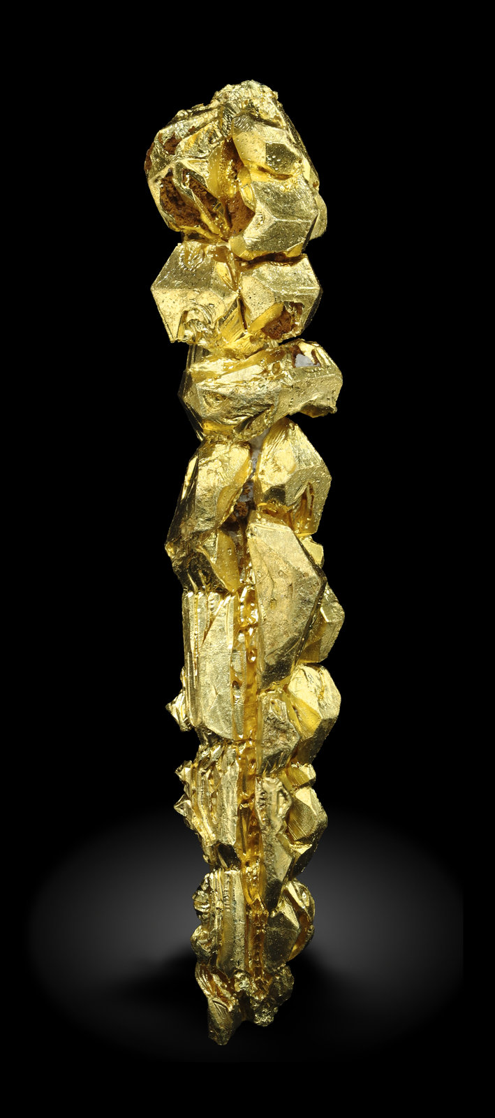 specimens/s_imagesAM5/Gold-MQ46AM5_0912_f.jpg