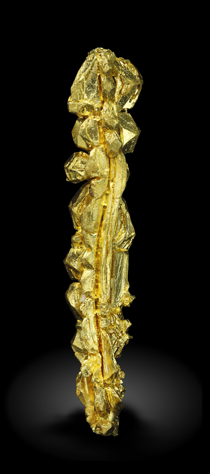 specimens/s_imagesAM5/Gold-MQ46AM5_0932_r.jpg