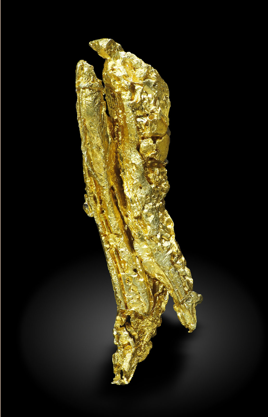 specimens/s_imagesAM5/Gold-MT56AM5_3153_r.jpg
