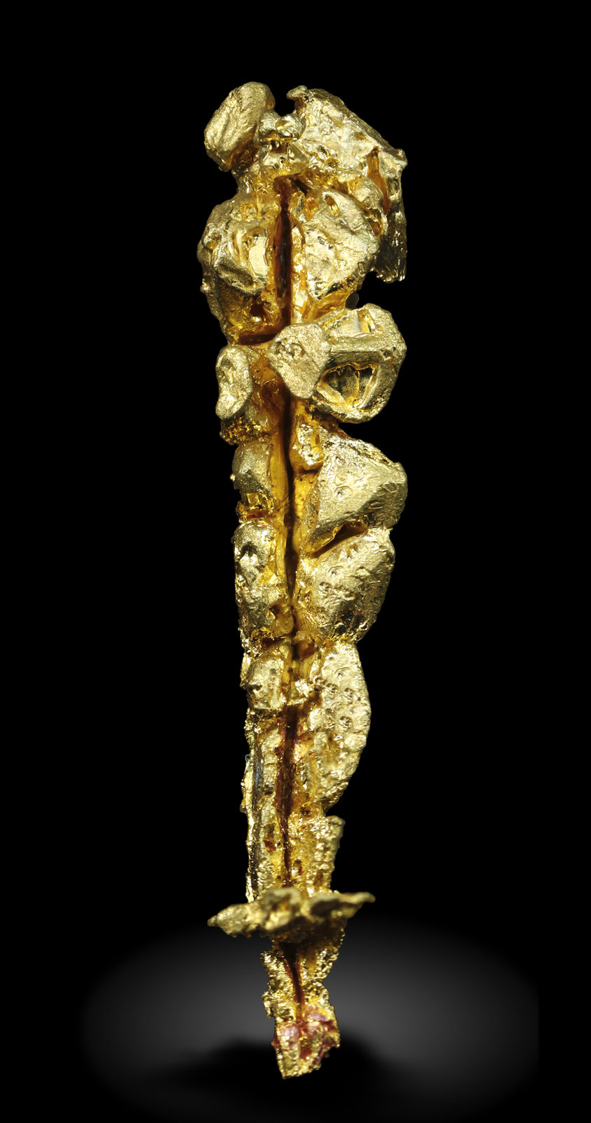 specimens/s_imagesAM5/Gold-MX58AM5_1267_f.jpg