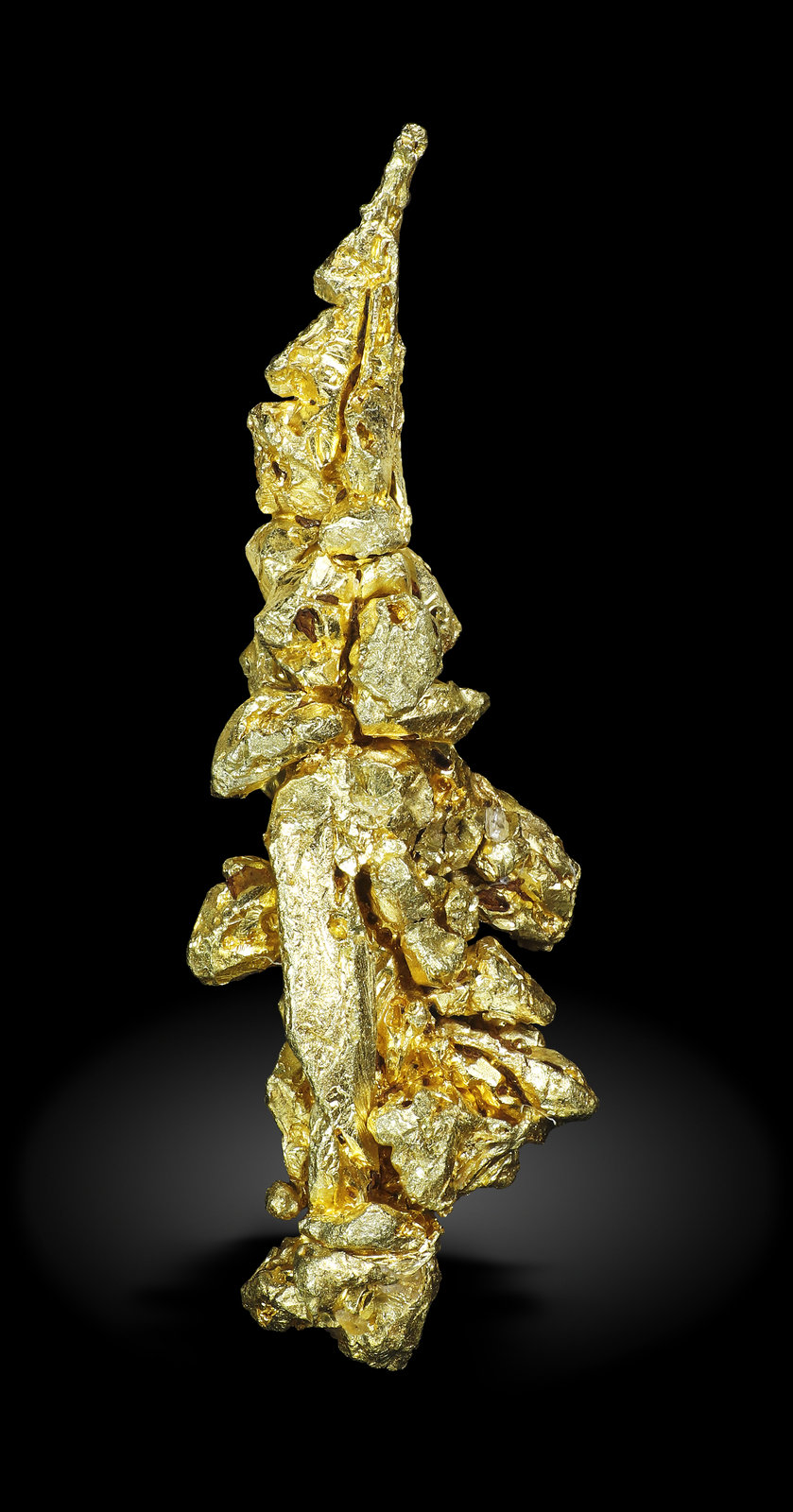specimens/s_imagesAM5/Gold-MY27AM5_3331_f.jpg