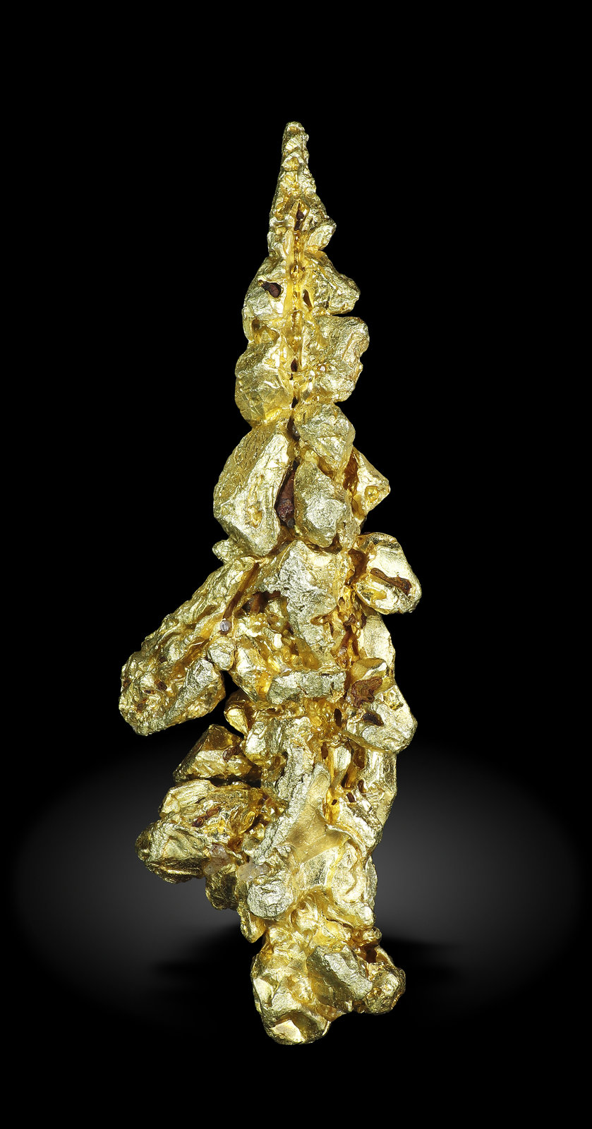 specimens/s_imagesAM5/Gold-MY27AM5_3352_r.jpg