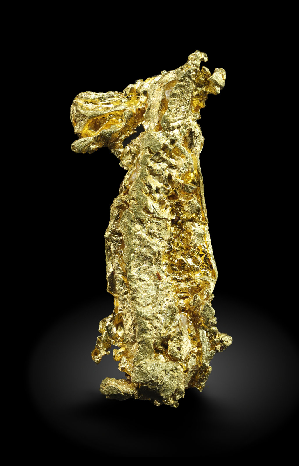 specimens/s_imagesAM5/Gold-MY41AM5_1239_r.jpg