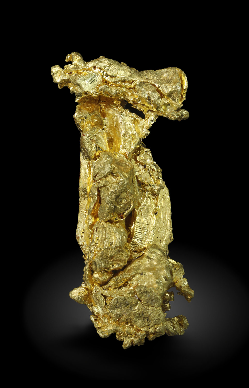 specimens/s_imagesAM5/Gold-MY41AM5_1264_f.jpg