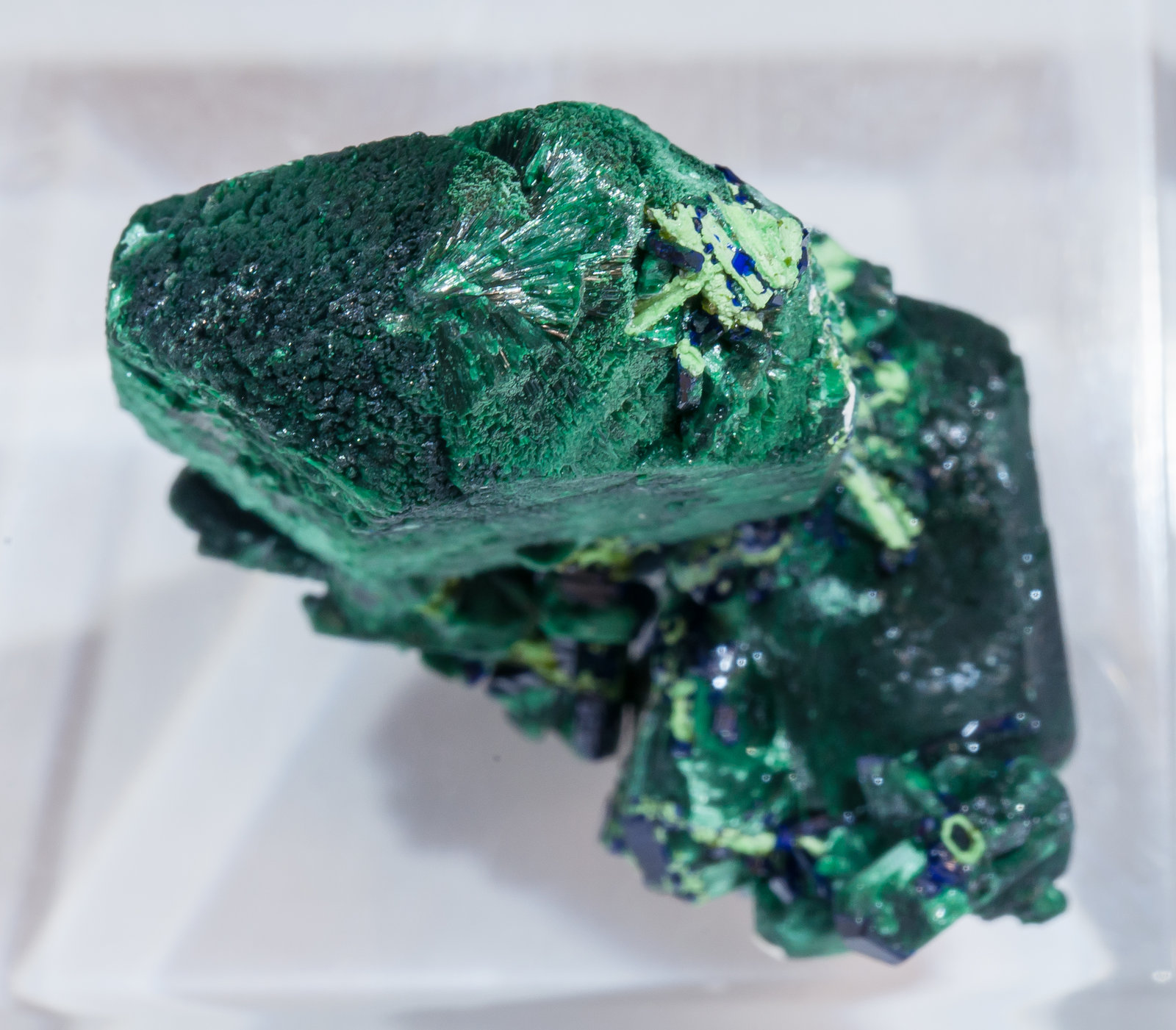 specimens/s_imagesAM5/Malachite-CC27AM5t.jpg