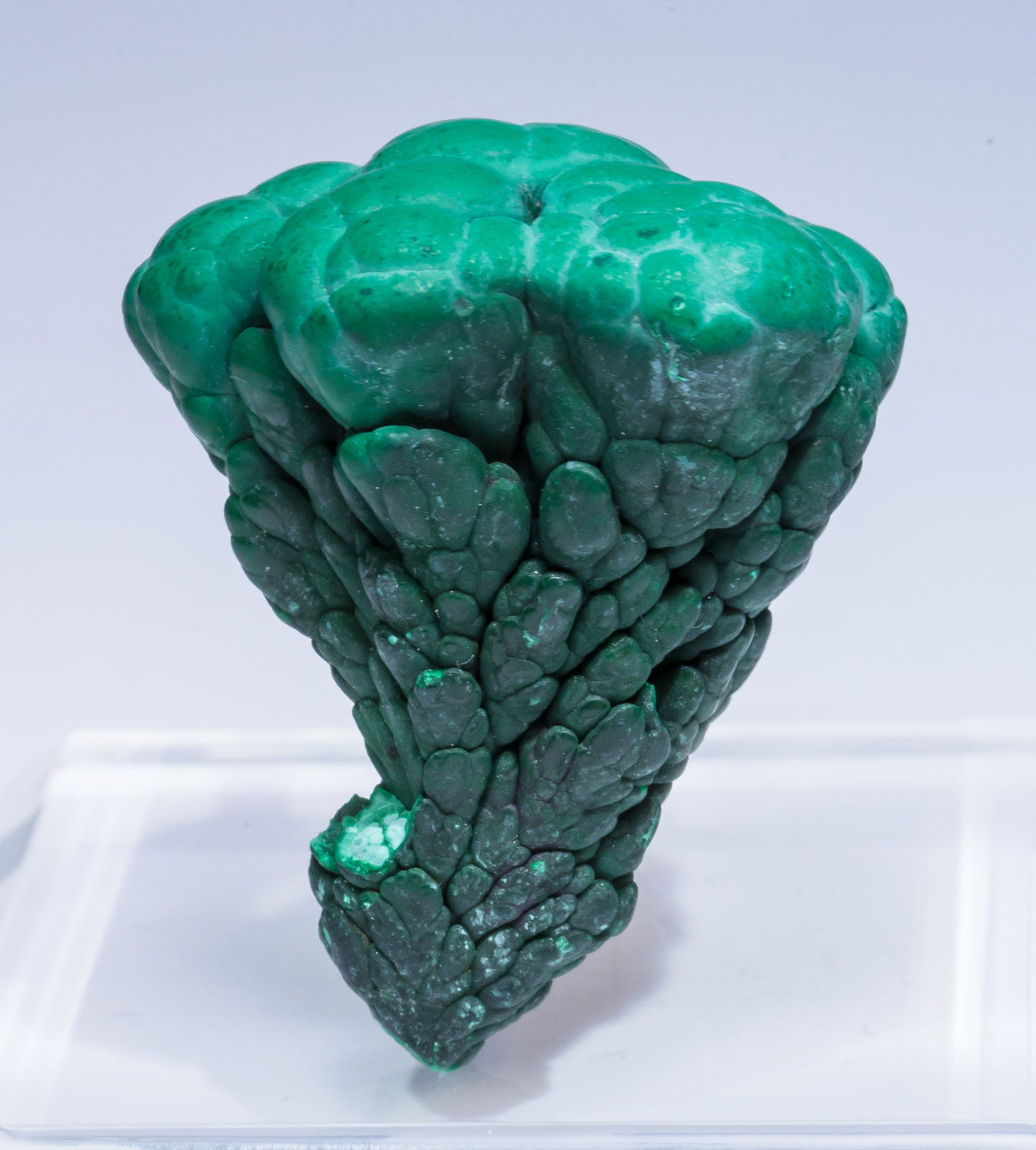 specimens/s_imagesAM5/Malachite-NM16AM5s1.jpg