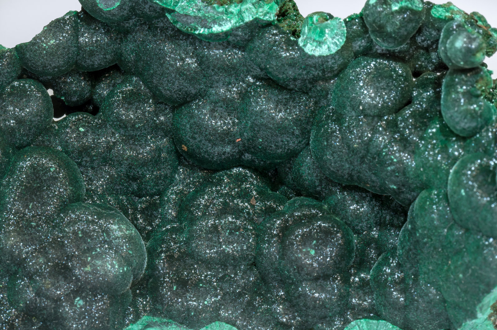 specimens/s_imagesAM5/Malachite-TD51AM5d.jpg