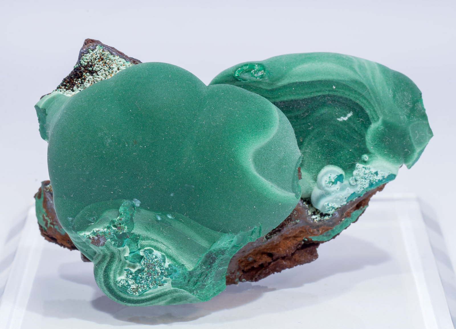 specimens/s_imagesAM5/Malachite-TX66AM5f.jpg