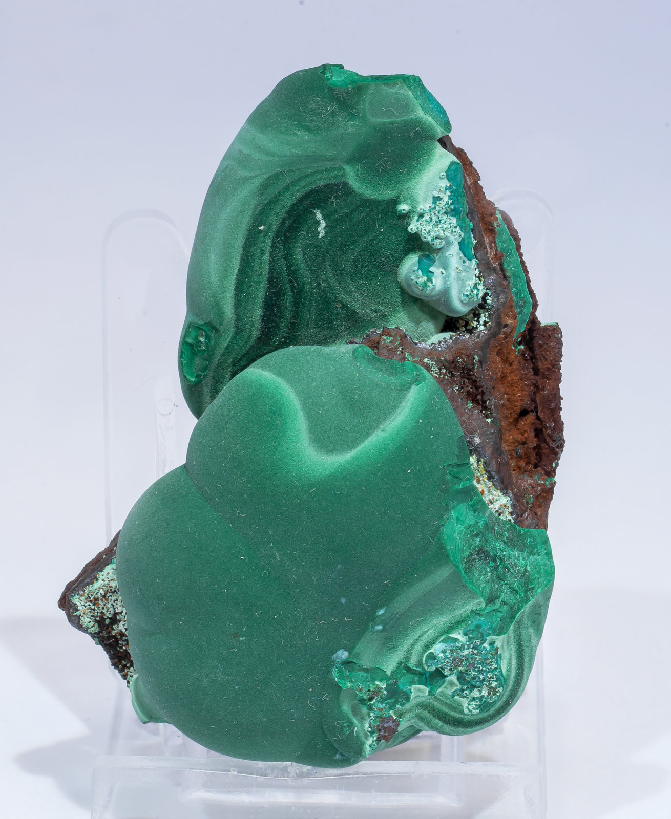 specimens/s_imagesAM5/Malachite-TX66AM5s.jpg