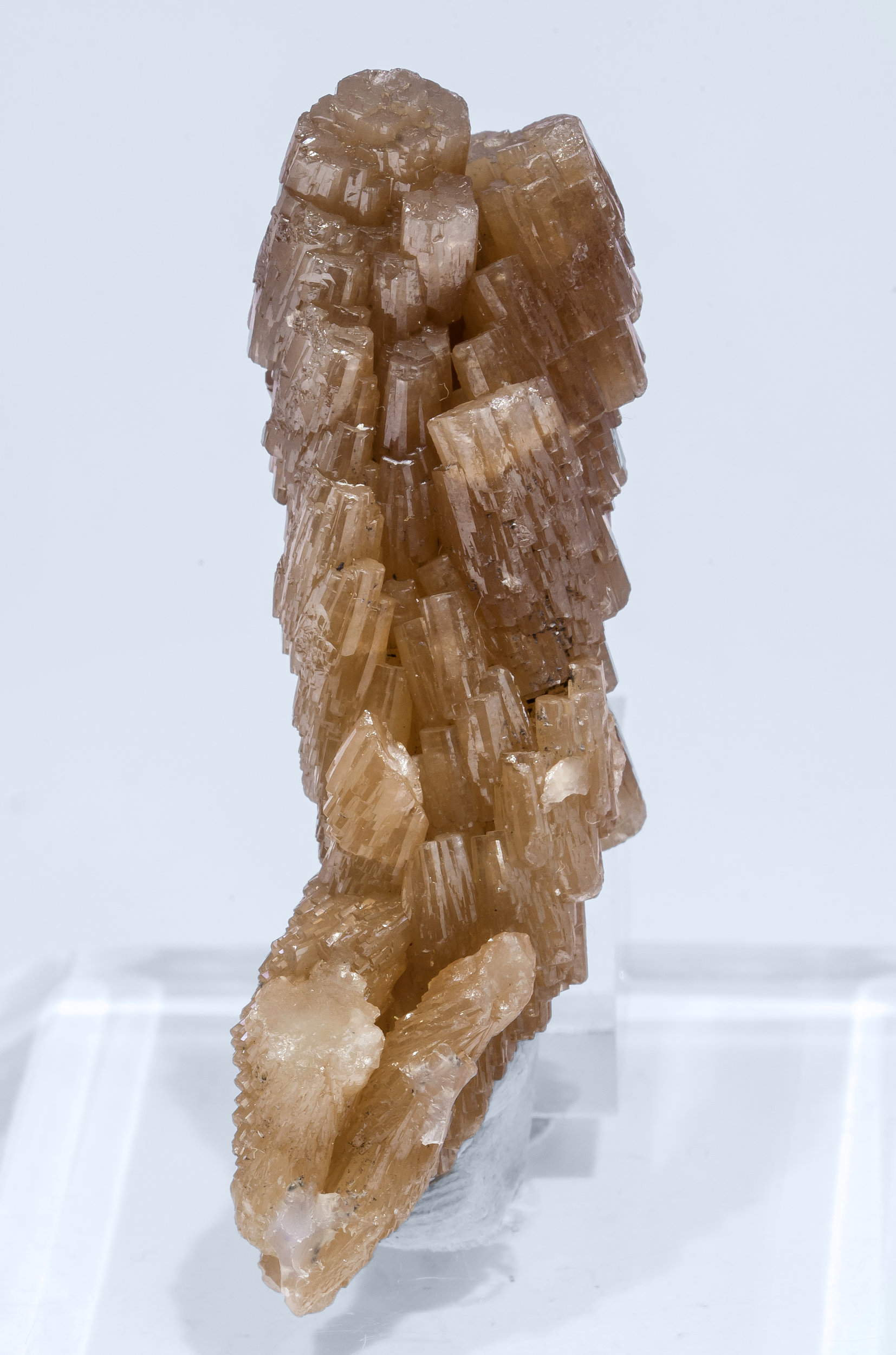 specimens/s_imagesAM5/Pyromorphite-NA88AM5f.jpg