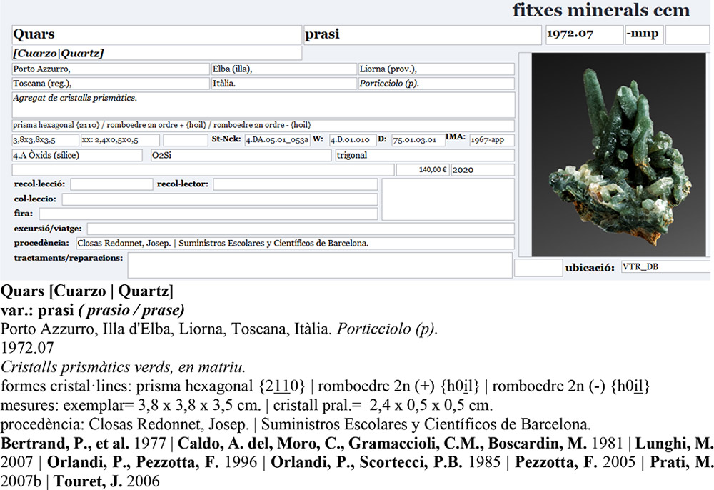 specimens/s_imagesAM5/Quartz_prase-CM13AM5e.jpg