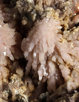 Quartz (variety rose quartz). Detail / Photo: Joaquim Callén