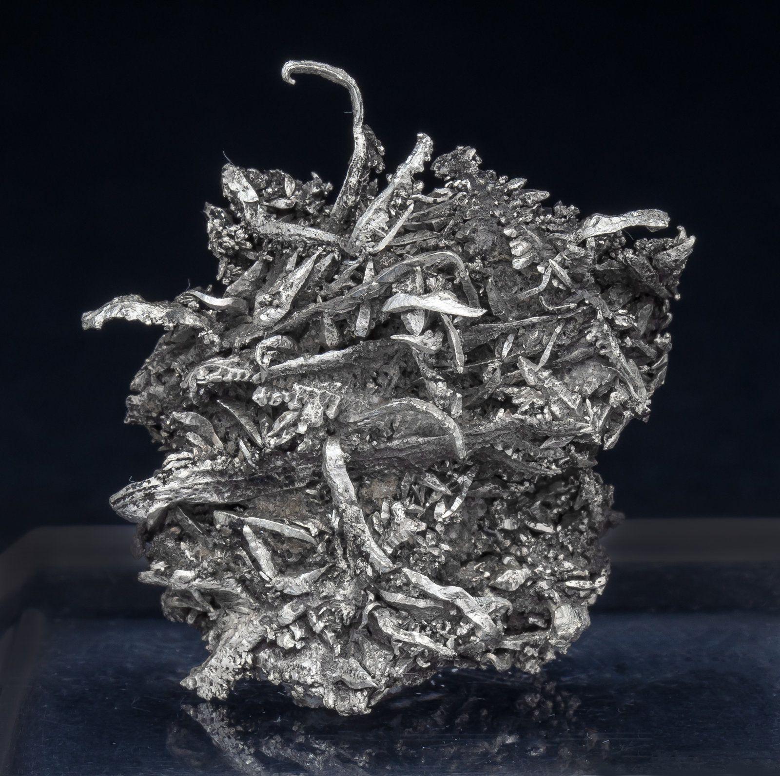 specimens/s_imagesAM5/Silver-CV96AM5f.jpg