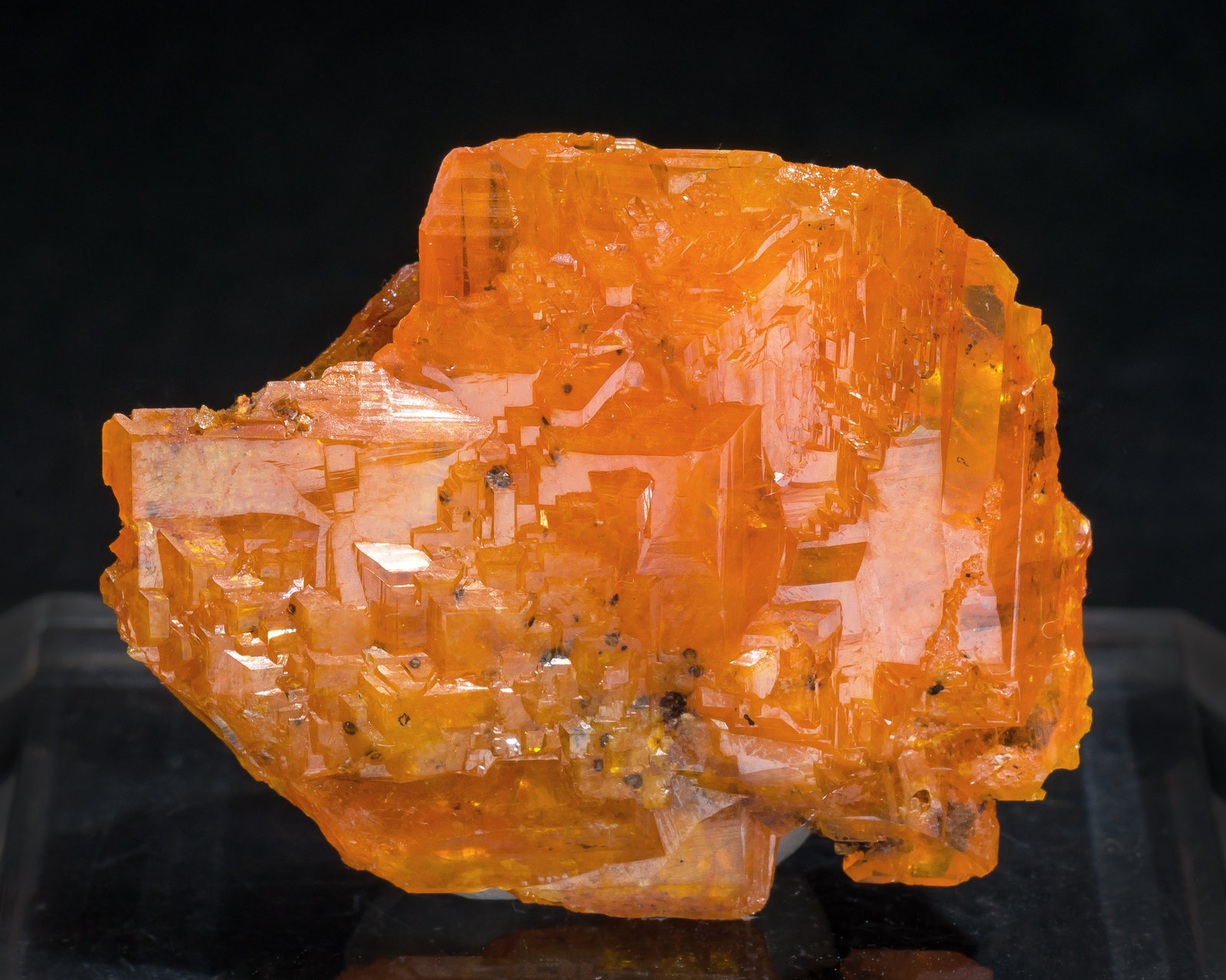 specimens/s_imagesAM5/Wulfenite-NE98AM5s.jpg