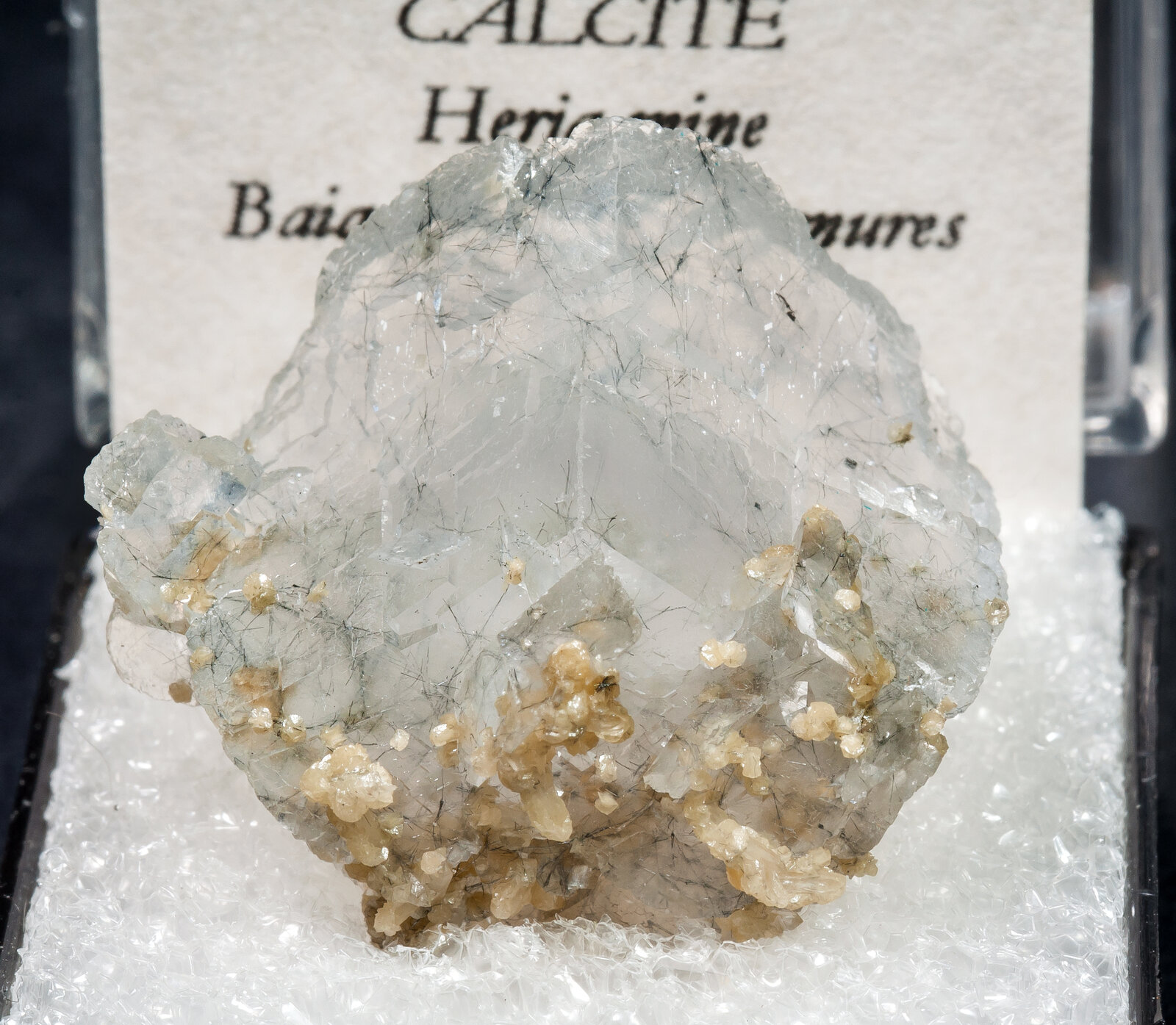 specimens/s_imagesAM6/Calcite-MK12AM6f2.jpg