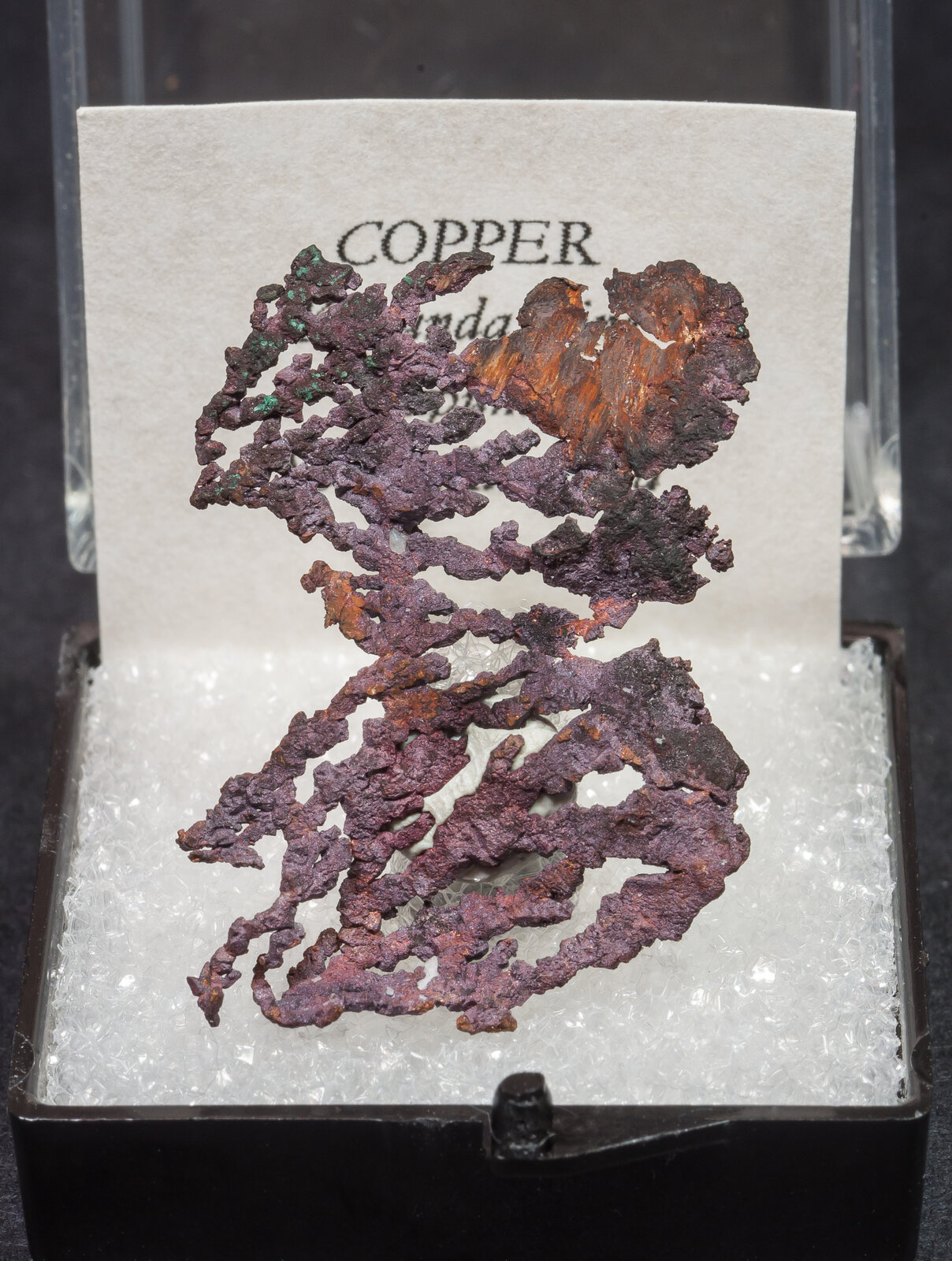 specimens/s_imagesAM6/Copper-MJ13AM6f.jpg