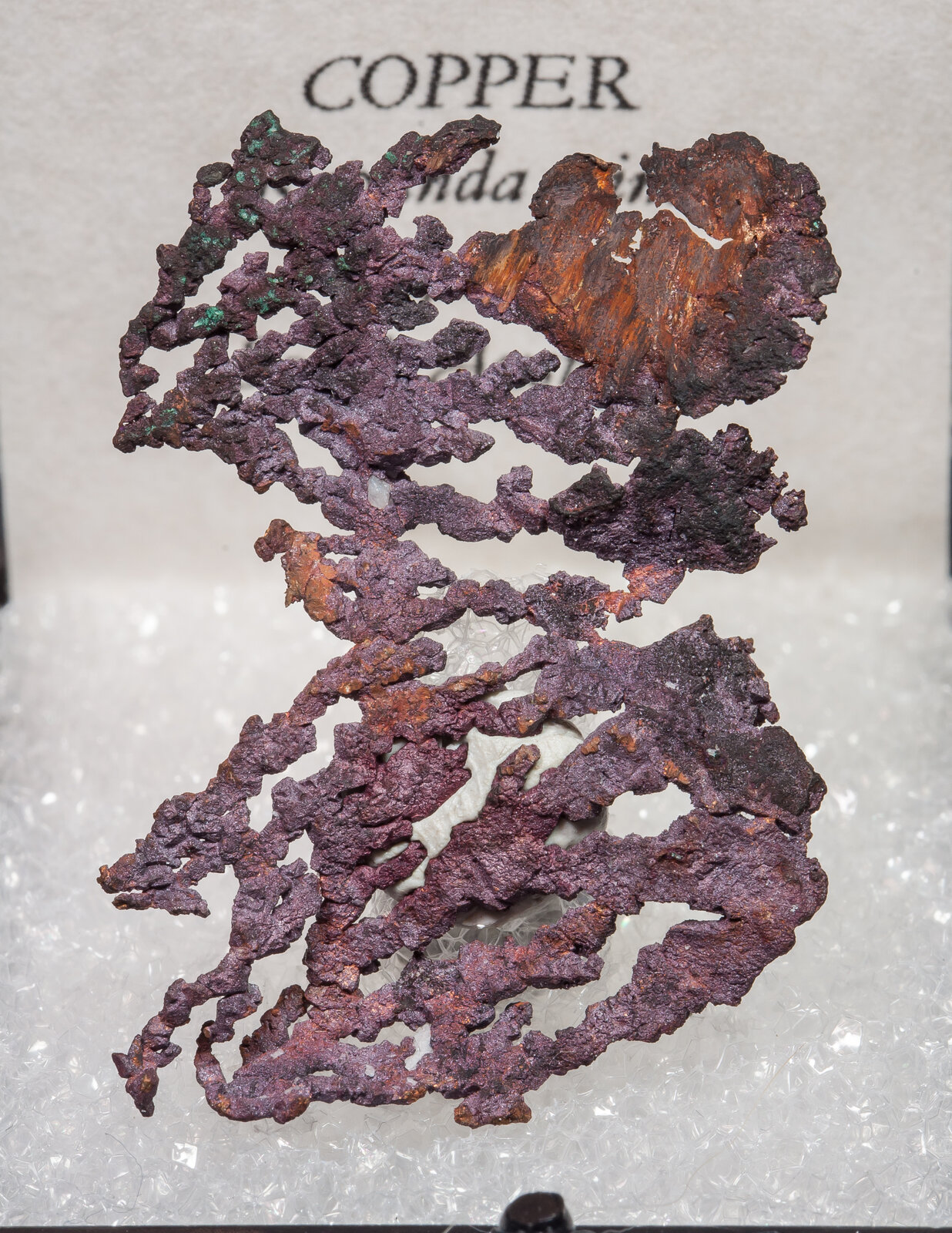 specimens/s_imagesAM6/Copper-MJ13AM6f2.jpg
