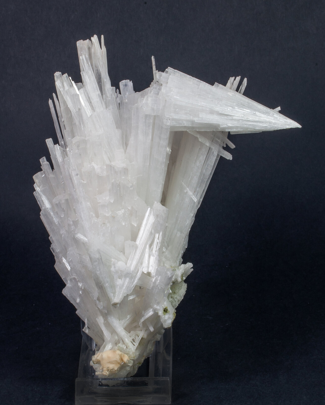 specimens/s_imagesAM6/Scolecite-HA37AM6f.jpg