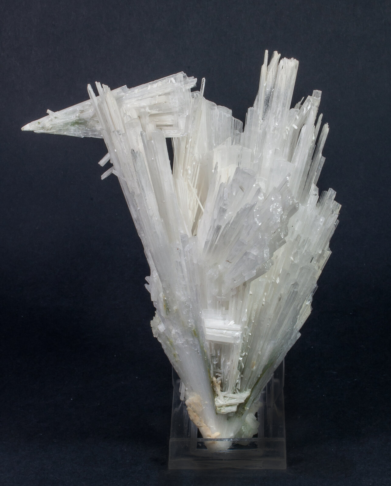 specimens/s_imagesAM6/Scolecite-HA37AM6r.jpg