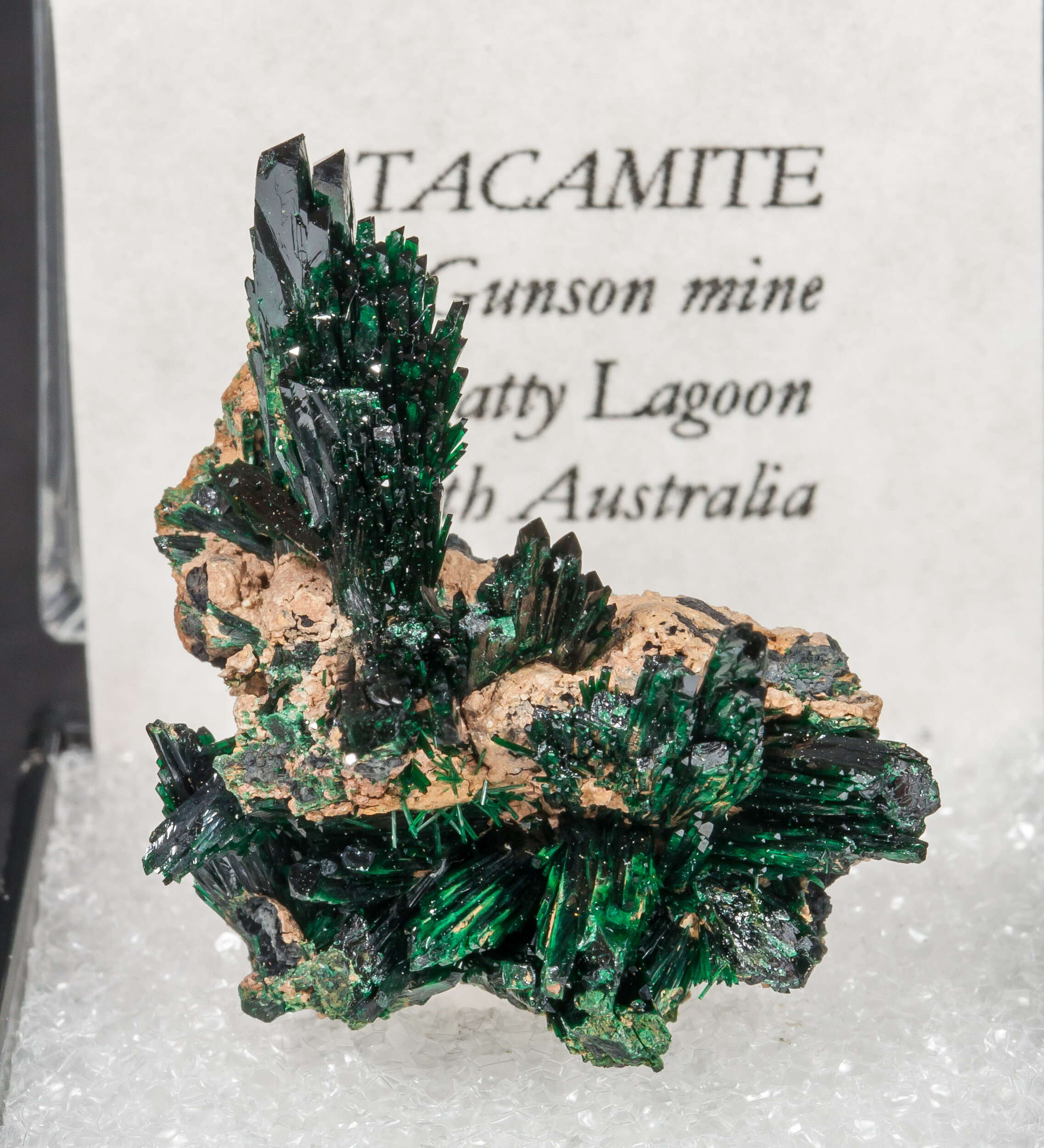 specimens/s_imagesAM7/Atacamite-MT27AM7f2.jpg