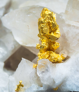 Gold on Calcite. 