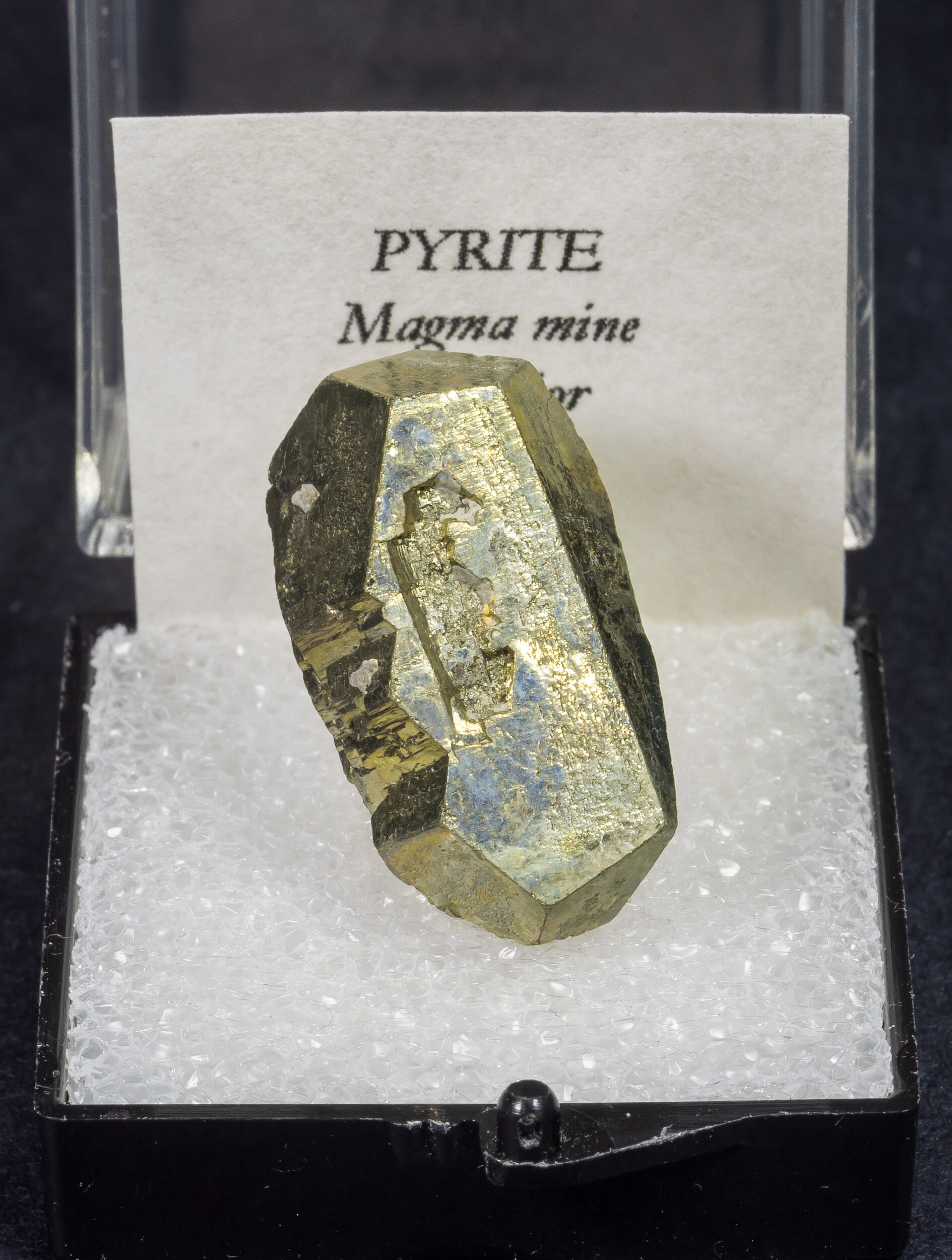 specimens/s_imagesAM7/Pyrite-MA6AM7f.jpg