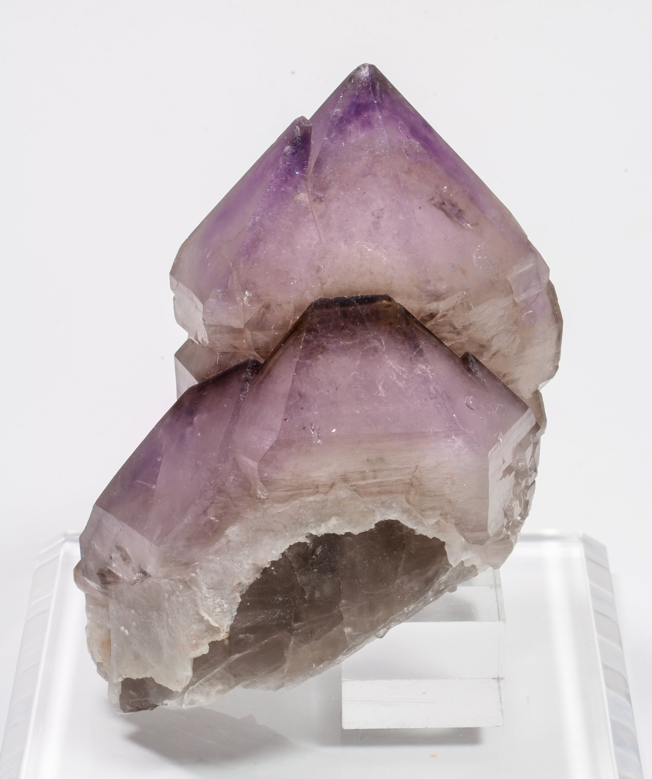 specimens/s_imagesAM7/Quartz_amethyst-TH98AM7f.jpg